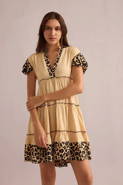 Aaliyah Empire Waist Dress