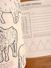 Ranch Math Grade 2: Money, Fractions, and Place Value