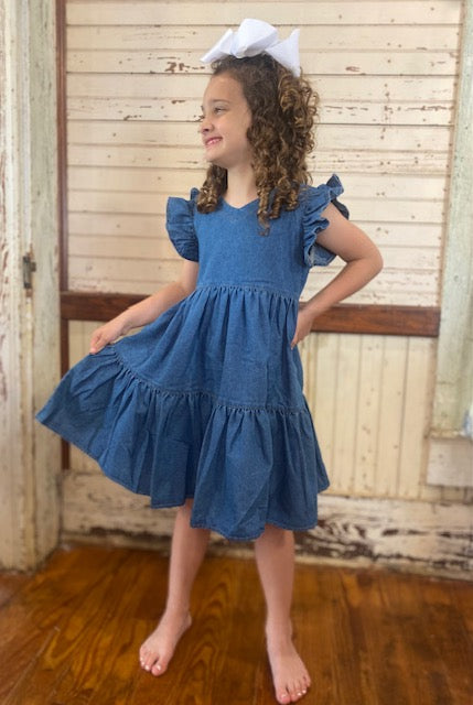 Denim SS Ruffle Dress: Shea Baby