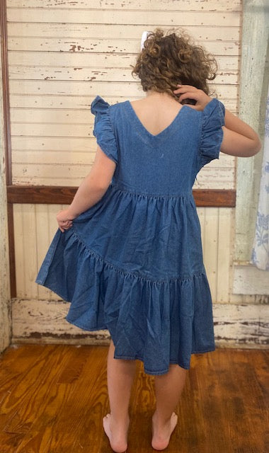 Denim SS Ruffle Dress: Shea Baby