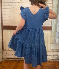 Running Horse Denim Dress: Shea Baby